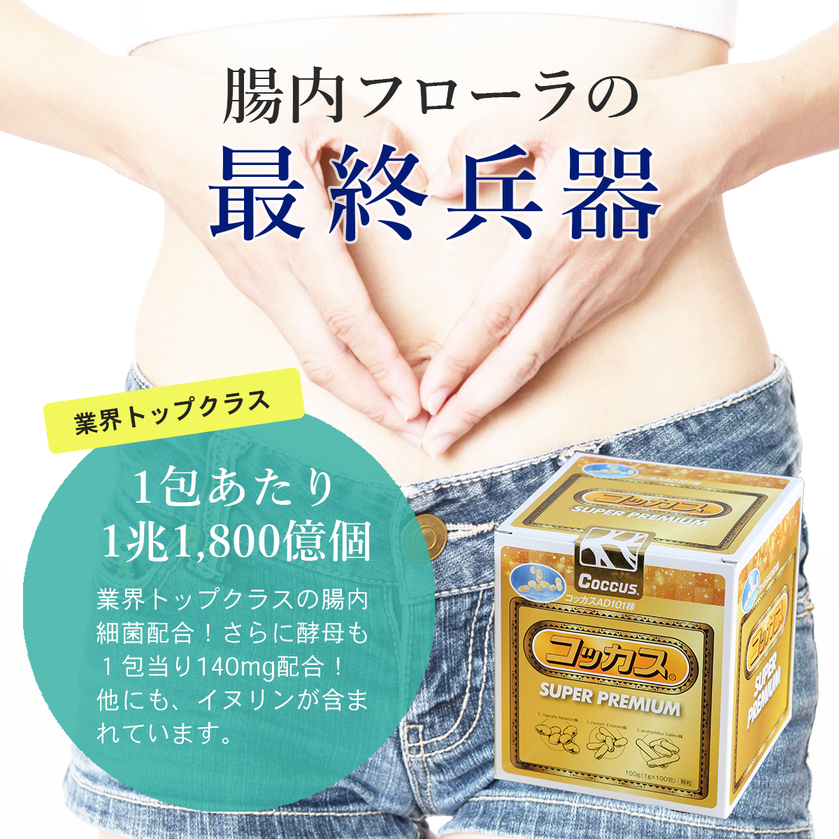 アイフローラ 腸内細菌加工食品加工 コッカス 腸内細菌科学で生きる力
