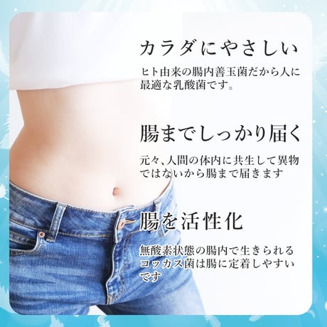 【送料無料！お試し1個】腸内フローラ食品の最終兵器「コッカス®ゴールドスーパースペシャル」100g（1g×100包）