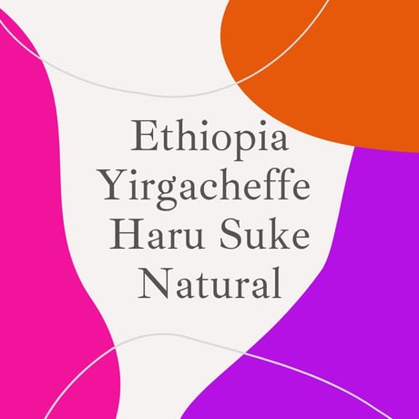 <毎週焙煎>エチオピア　イルガチェフェ ハルスケ ナチュラル 農薬不使用 200g