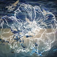【CD】イマジネーション