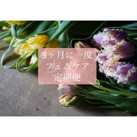 【3ヶ月に1度の定期便】フェムケアSET