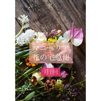 月1回　マニョリア花の宅急便
