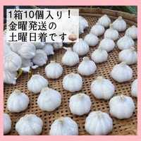 自然栽培にんにく