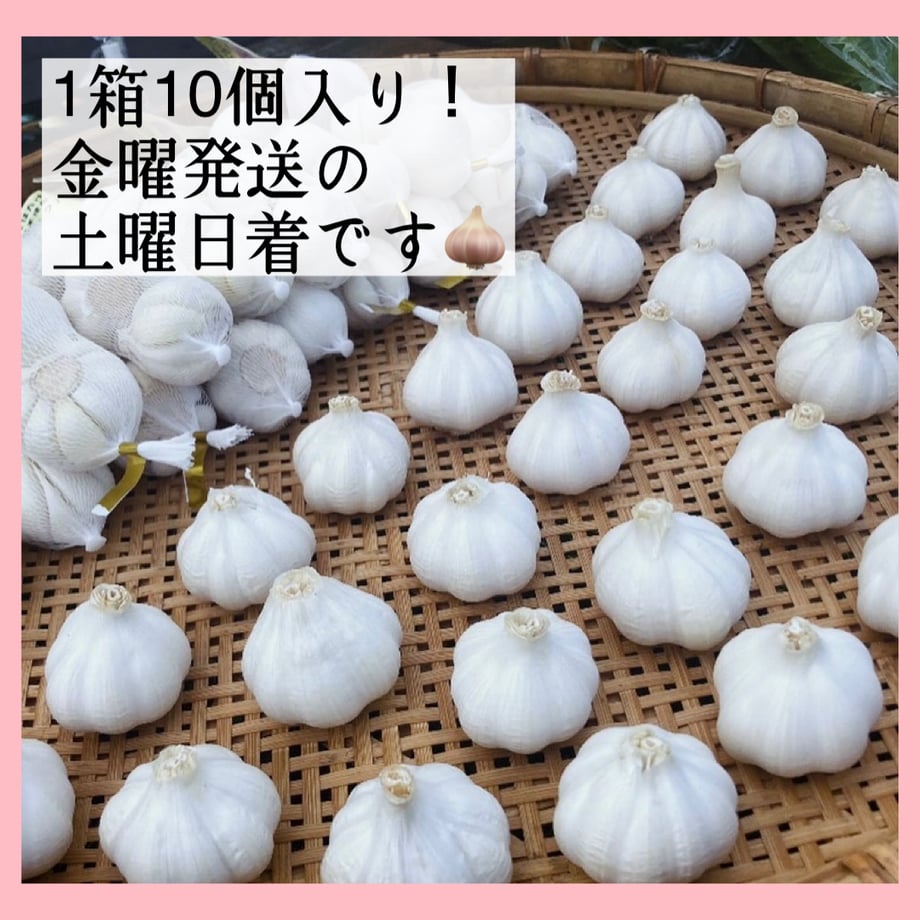 66b72766c99ac70cebc1401c