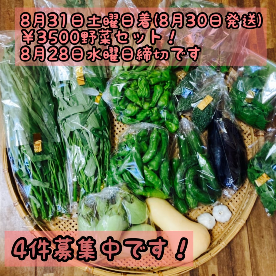 66ca73da9d9d4f3aabac11df