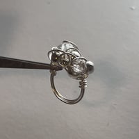 Clear Perl 💍
