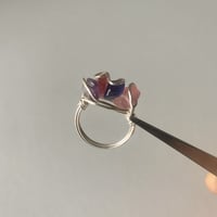 purplepink  ring