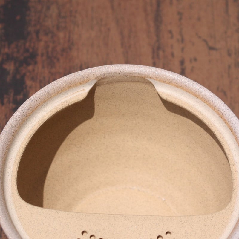 常滑焼 白釉七十七穴楽捨て急須 日本製 | とことこパーク