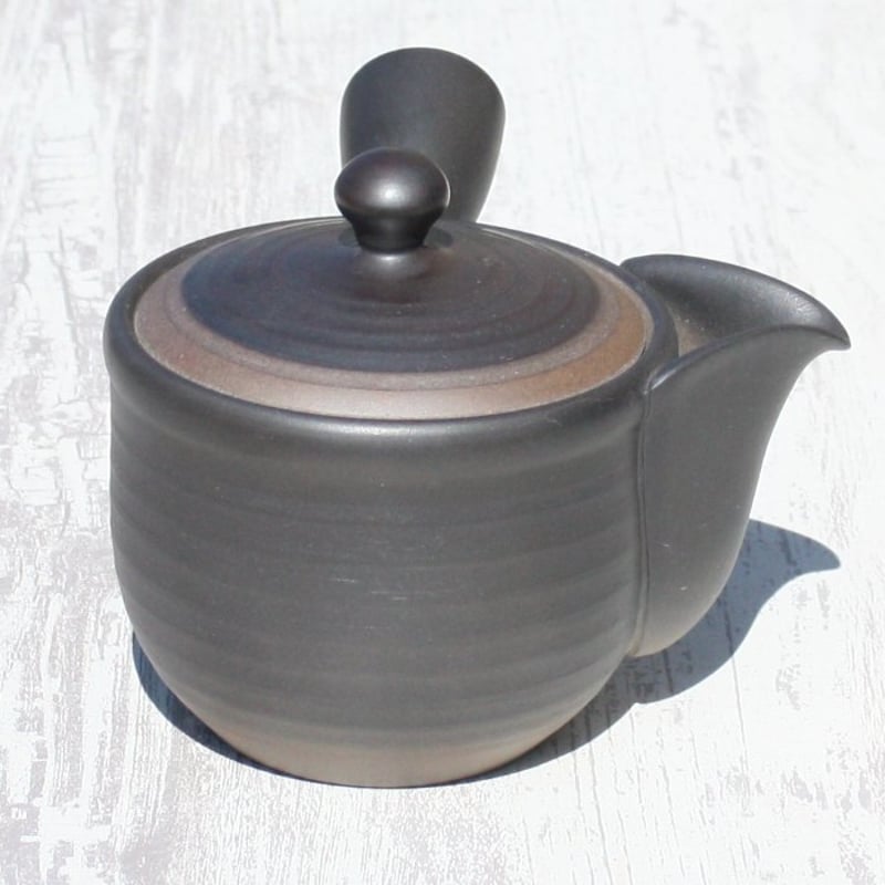 常滑焼 茶注 立広造 急須 共箱 札幌市北区屯田 北龍]