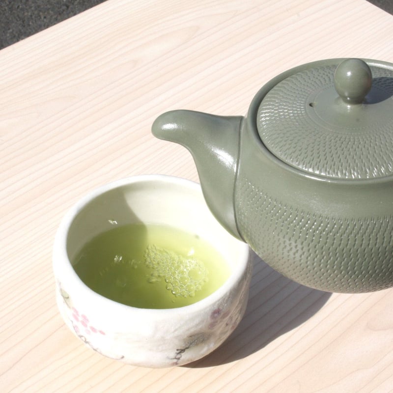 常滑焼 盛正窯 茶切れすっきりポット 緑 セラメッシュ 日本製