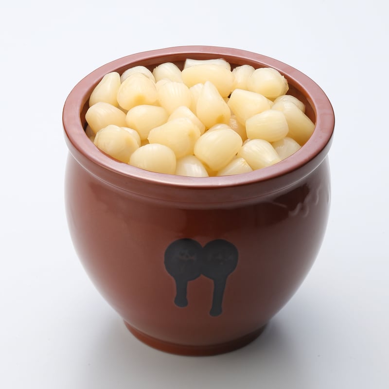 常滑焼 蓋付ミニかめ 0.8号 1440ml | とことこパーク 常滑焼 蓋付ミニかめ 0.8号 1440ml | とことこパーク