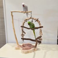 自由にカスタム 壁掛けバードアスレチック【B】【インコのおもちゃ