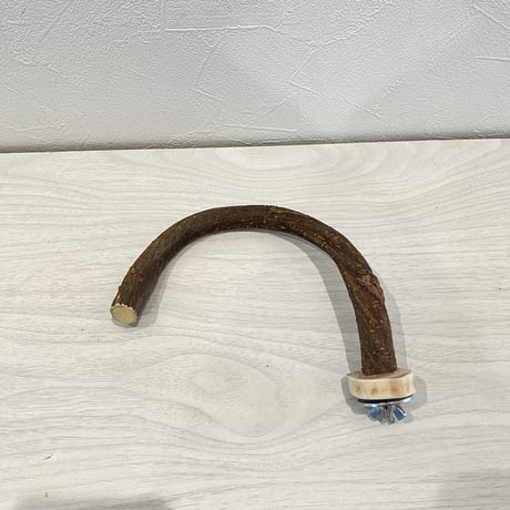 自然木（ツタ）フック船長パーチ　パーチ直径1.5cm／半円直径18cm