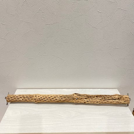 【lastlove0923様専用】カクタスパーチ小60cm 44cm