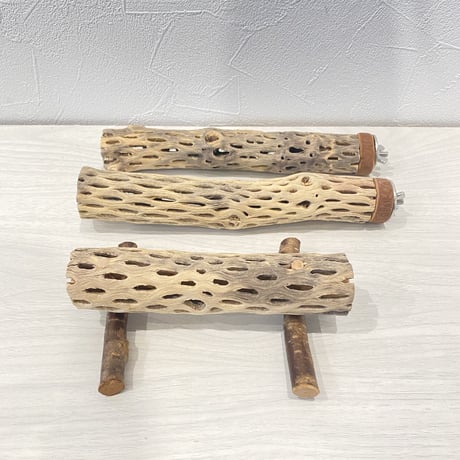 【HARU*ARARE様専用】カクタスパーチ極小20cm 置き型カクタス