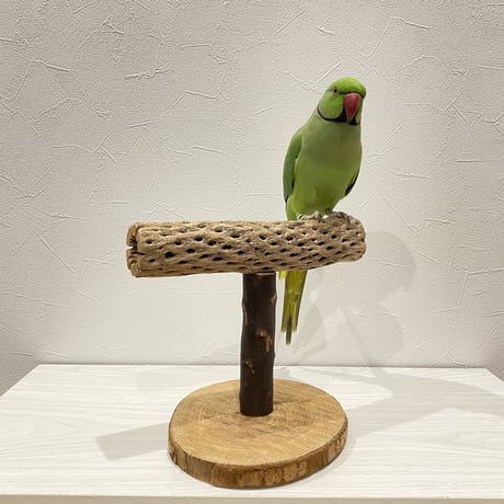 カクタスのスタンドパーチ大型さん用　パーチ長さ23cm／高さ13.5cm