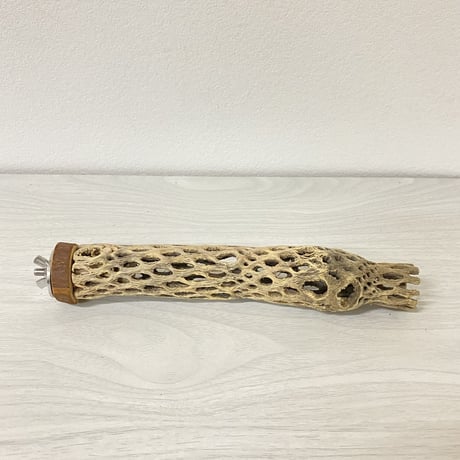 カクタスパーチ⑥ 極小サイズ 直径（約3-4cm）長さ/15cm