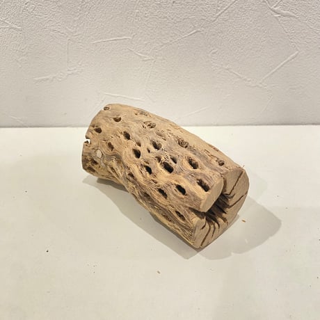 カクタスパーチ(L) 直径約5.5cm/長さ12cm