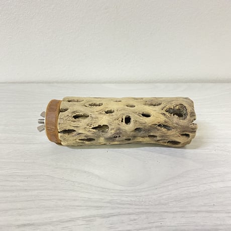 カクタスパーチ② 中サイズ 直径（約5.5cm）長さ/11.5cm