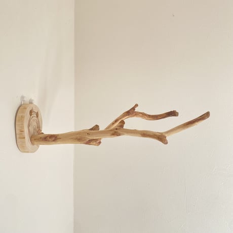 ピノキオの鼻 ①