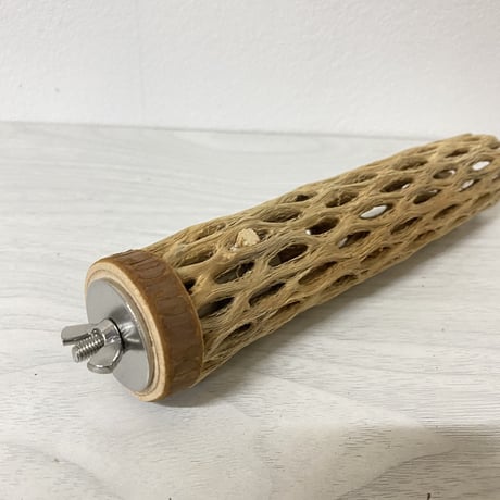 カクタスパーチ 小サイズ②直径（約3-4cm）長さ/16.5cm