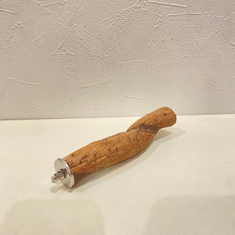 自然木（ツタ）パーチ③  直径約2.8cm/長さ17cm