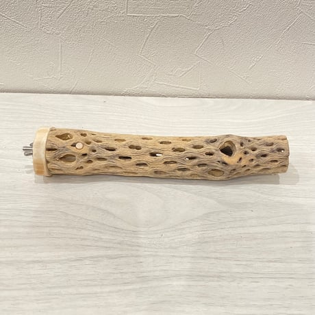 カクタスパーチ小⑩ 直径3~4cm／長さ20㎝