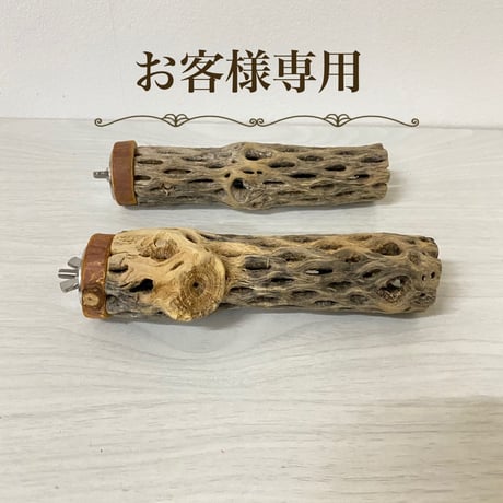 【kyi_oto様専用】カクタスパーチ 小サイズ 直径（約3-4cm）長さ/15cm
