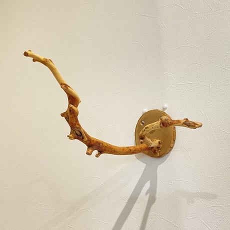 ピノキオの鼻 ②