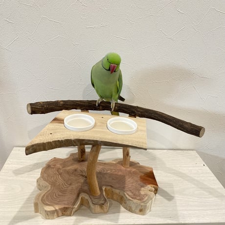 おしゅし屋さんカウンタースタンド