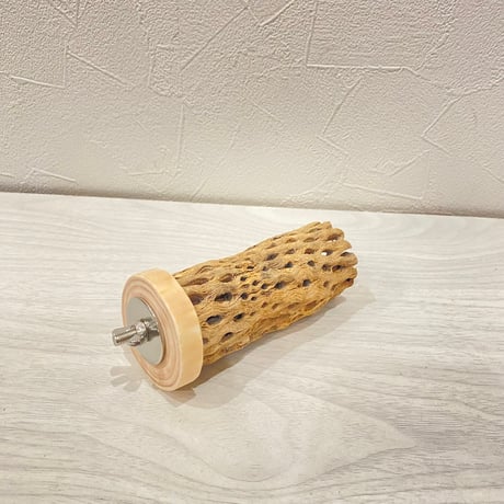 カクタスパーチ小 ② 直径3~4cm 長さ10cm
