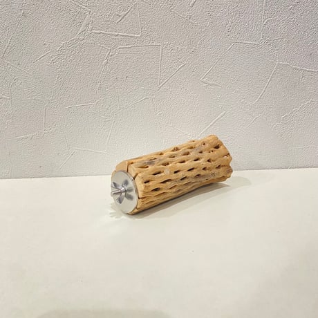 カクタスパーチ③  直径約5cm/長さ12.5cm