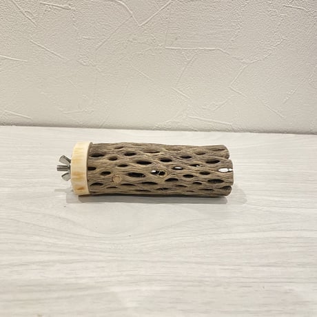カクタスパーチ【8】 小直径3.5cm/10cm