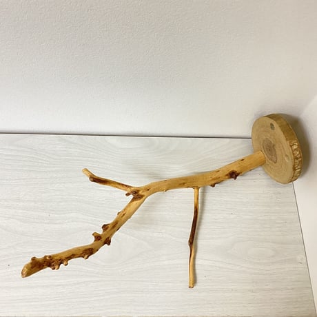 ピノキオの鼻 ⑦