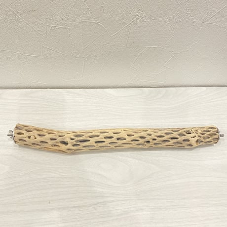 ケージサイズカクタスパーチ②  極小サイズ（直径2-3cm）HOEI35