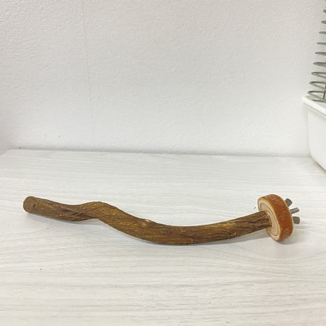 自然木（ツタ）のパーチ⑫　直径1.3cm／長さ21cm