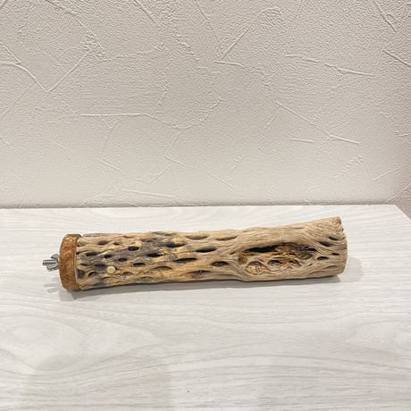 カクタスパーチ③  小 直径約4cm 長さ20cm