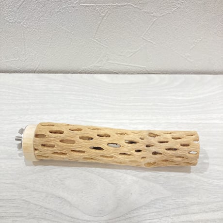 カクタスパーチ【4】極小 直径約3cm 長さ15cm
