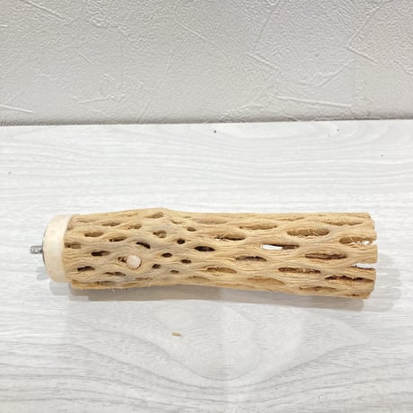 カクタスパーチ小　直径約3.5cm 長さ14cm