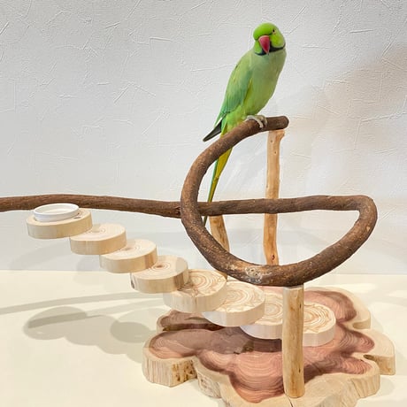 螺旋階段とツタパーチのバードアスレチック【インコのおもちゃ・自然木のとまり木】