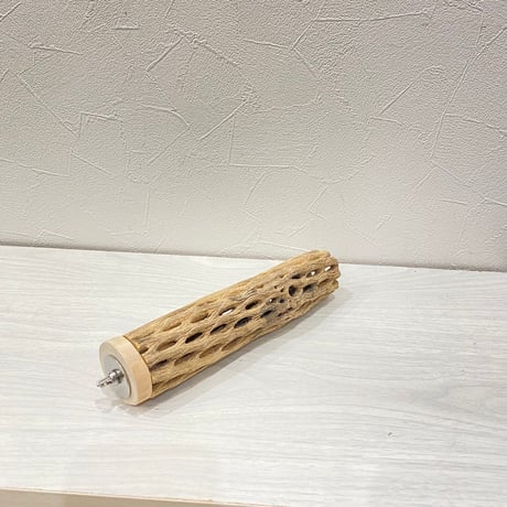 カクタスパーチ㉓中4.5~5.5cm長さ20㎝