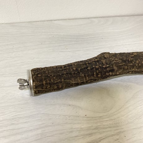 自然木（ツタ）のパーチ②　直径3cm 長さ18cm