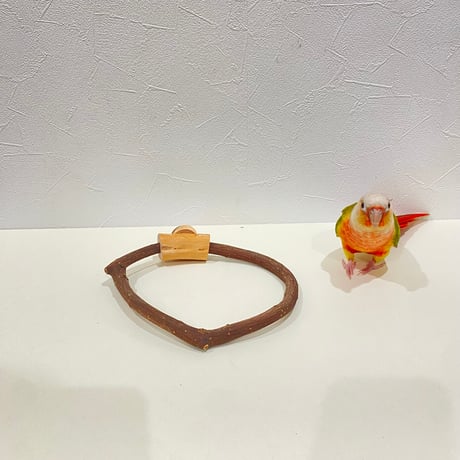 自然木（ツタ）のドーナツパーチ　約18cmの円形/ツタ直径1.1~1.4cm