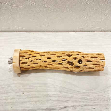 カクタスパーチ【16】直径3~4cm/長さ15cm