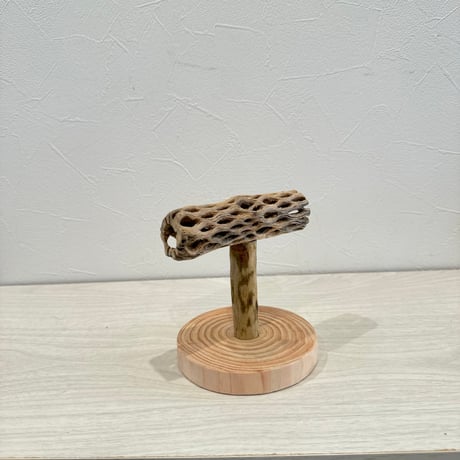 【体重測定用】カクタスのスタンドパーチ② 長さ12cm／足高さ8cm