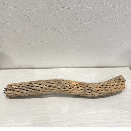ケージサイズカクタスパーチ 中直径約5.5cm HOEI465