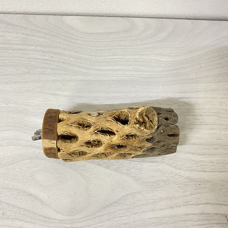 カクタスパーチ 中サイズ⑥ 直径約5cm 長さ/10cm
