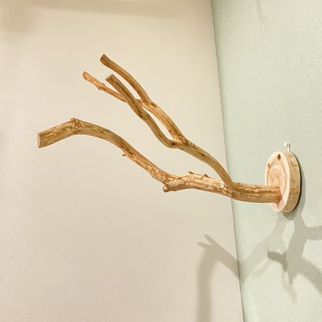 ピノキオの鼻 ④  中型から大型用
