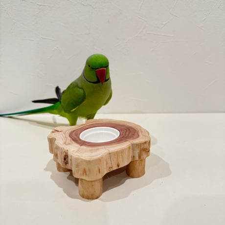 貝塚伊吹おやつ入れつきちゃぶ台【自然木 インコ】