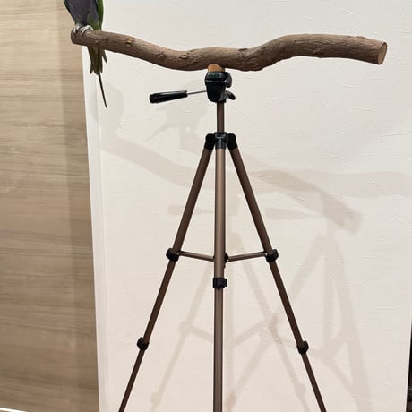【鳥月羊様専用】三脚でどこでもイッちゃうパーチ